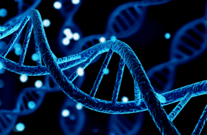 Life Sciences
